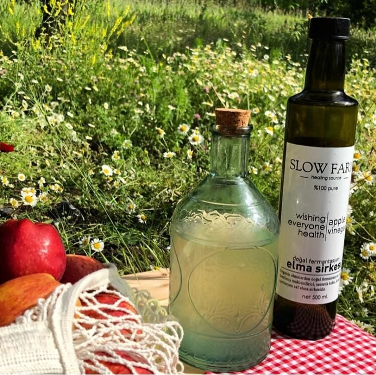 Slowfarm Elma Sirkesinin Sağlık Faydaları